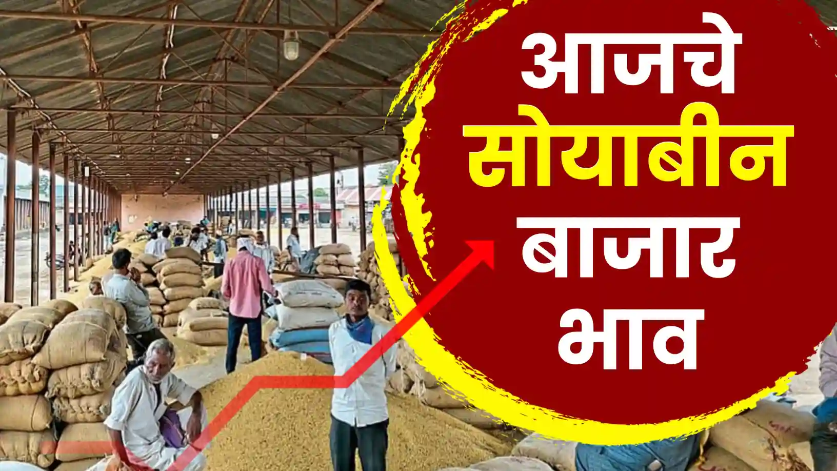 नागपूरमध्ये सोयाबीनला ८००० चा विक्रमी दर?