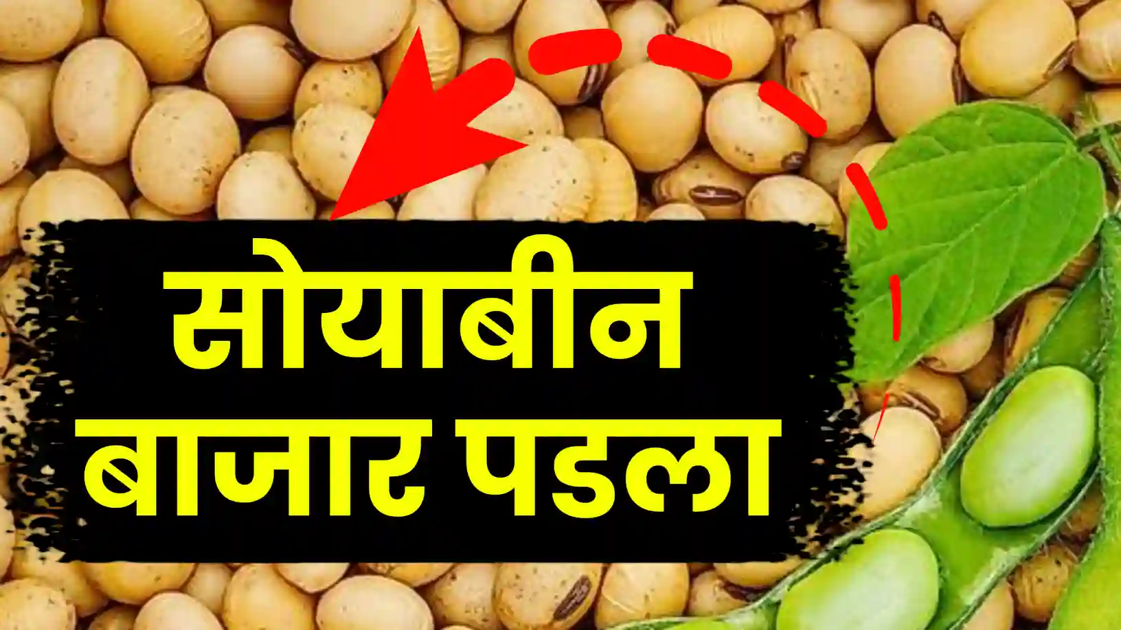 सोयाबीन बाजार शांत