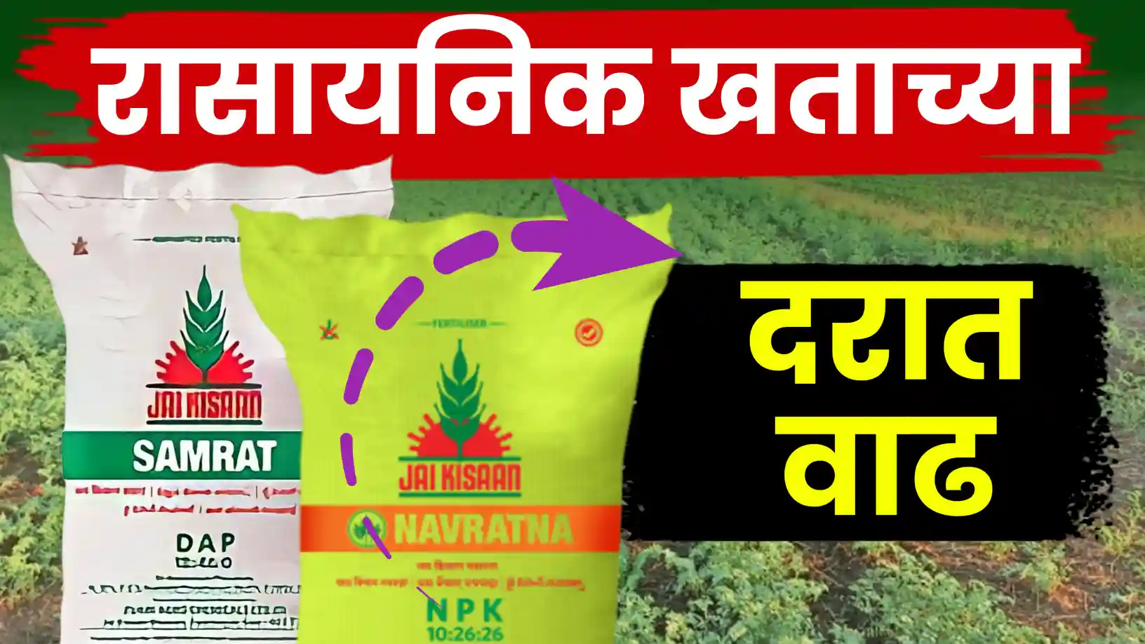 रासायनिक खतांचे दर पुन्हा वाढले