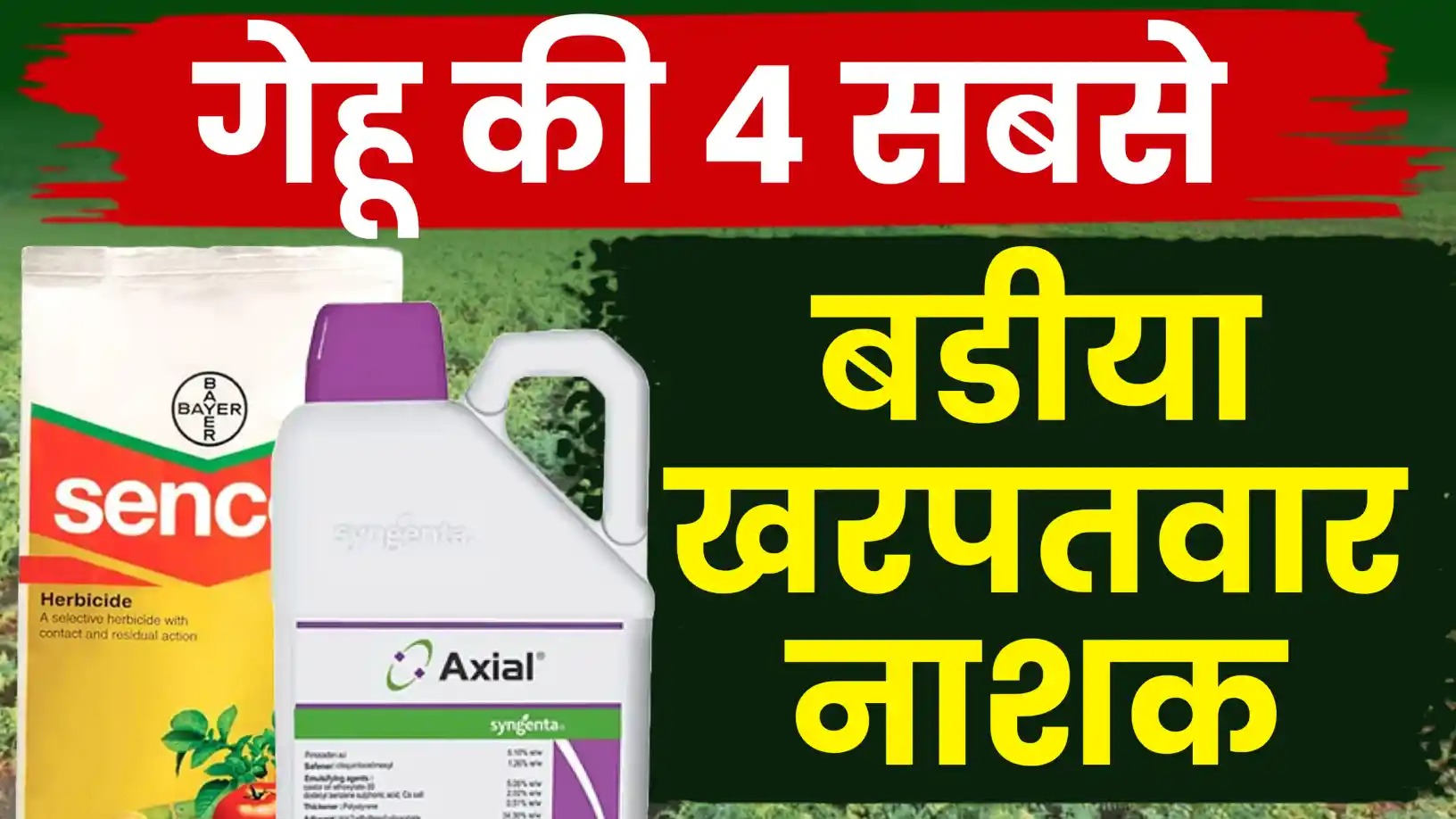 गेहूं की टॉप 4 खरपतवार नाशक दवाइयाँ